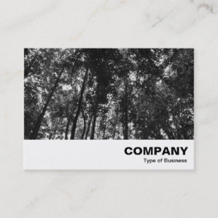 Carte De Visite BW Woodland Canopy