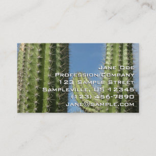Carte De Visite Cactus à baril I Photo de désert