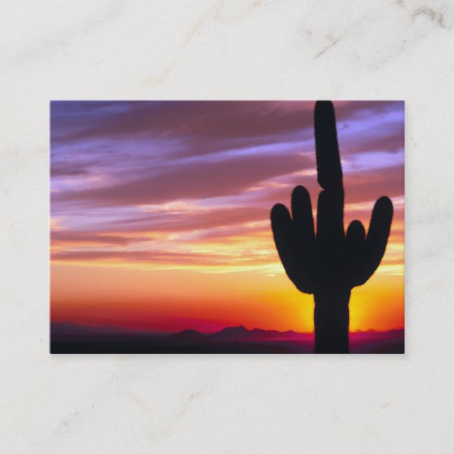 Carte De Visite Cactus de coucher du soleil de désert (Devant)