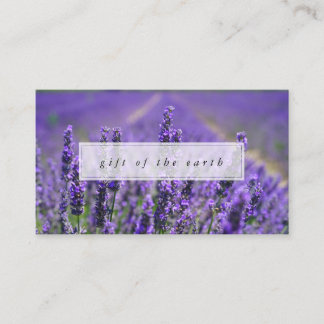 Carte De Visite Cadeau de ferme de lavande d'huiles essentielles