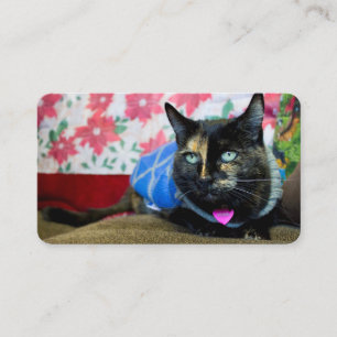 Carte De Visite Calico III