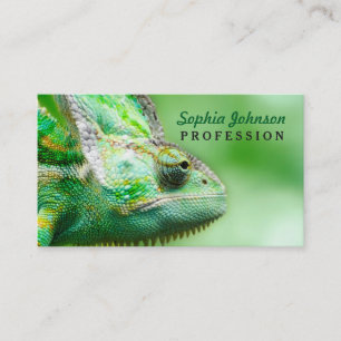 Carte De Visite Caméléon vert merveilleux de reptile