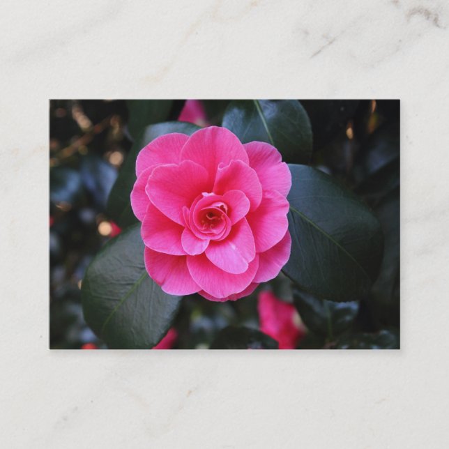 Carte De Visite Camélia rose (Devant)
