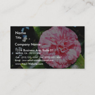 Carte De Visite Camellia