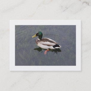 Carte De Visite Canard à colle (Bordé)