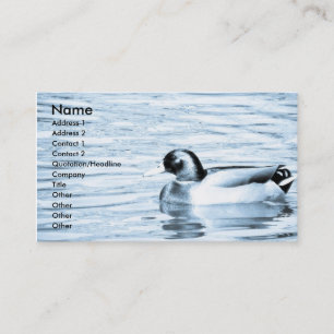 Carte De Visite Canard dans l'eau