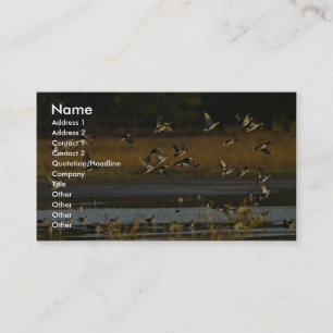 Carte De Visite Canards se levant de l'eau