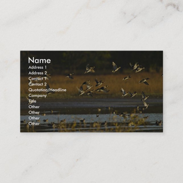Carte De Visite Canards se levant de l'eau (Devant)