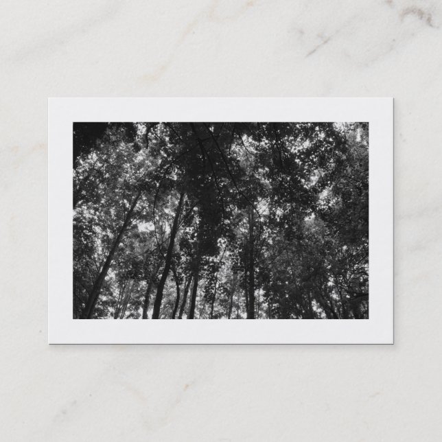 Carte De Visite Canopée en bois 01 BW (frontière) (Devant)