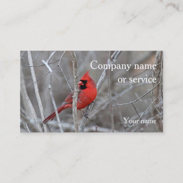 Carte De Visite Cardinal (Devant)