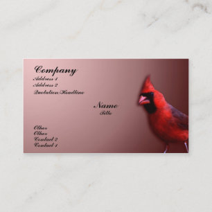 Carte De Visite Cardinal