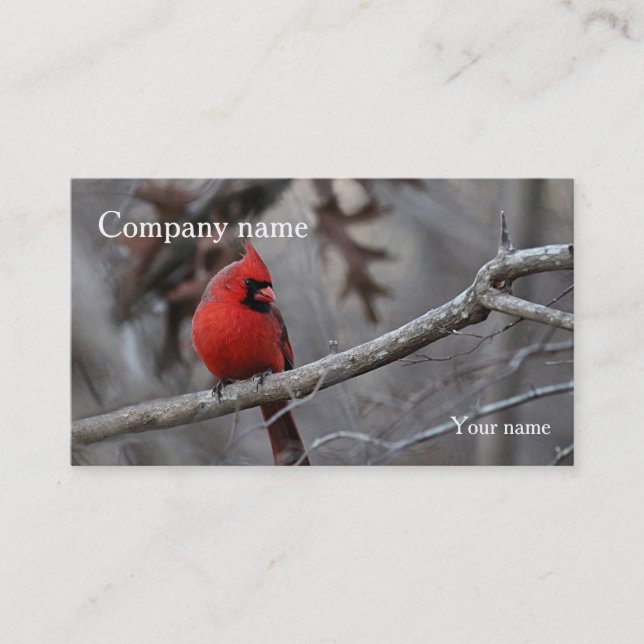 Carte De Visite Cardinal (Devant)