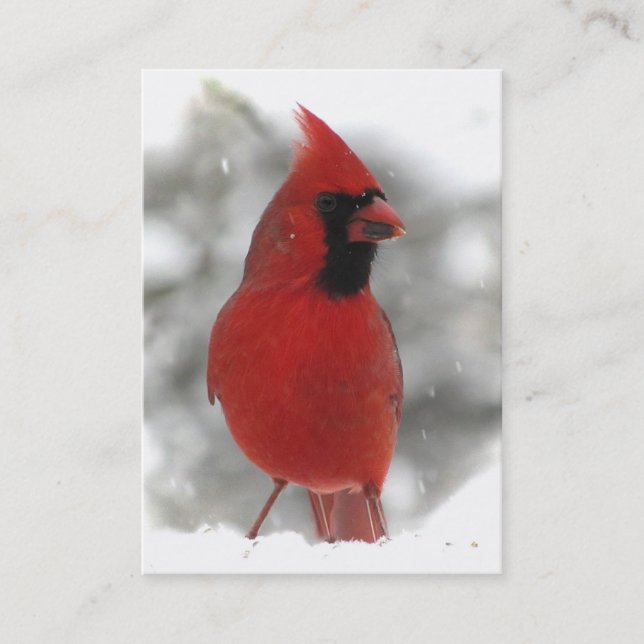 Carte De Visite Cardinal ATC (Devant)