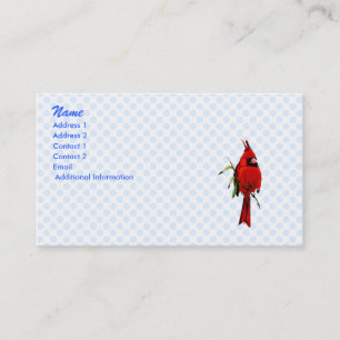 Carte De Visite Cardinal de cardan