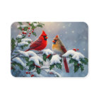 Cardinaux rouges et Holly en neige