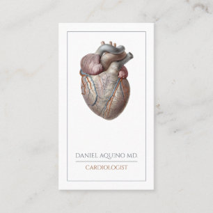 Carte De Visite Cardiologue cardiaque anatomique