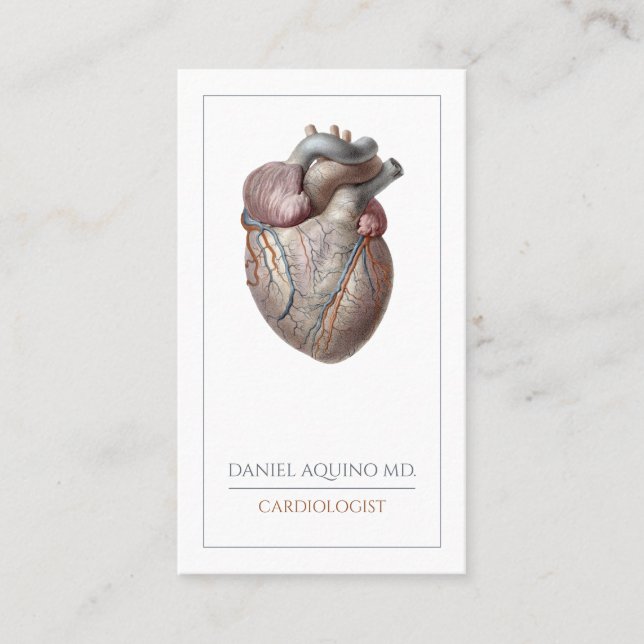 Carte De Visite Cardiologue cardiaque anatomique (Devant)