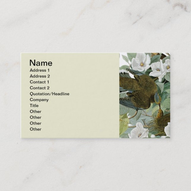 Carte De Visite Carolina Pigeon Audubon Morning Dove (Devant)