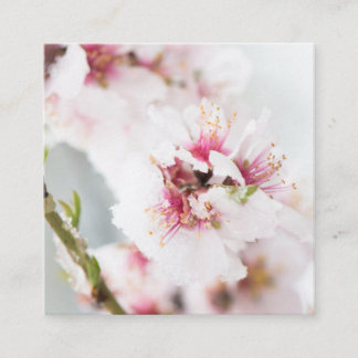 Carte De Visite Carré Almond tree flowers covered by snow