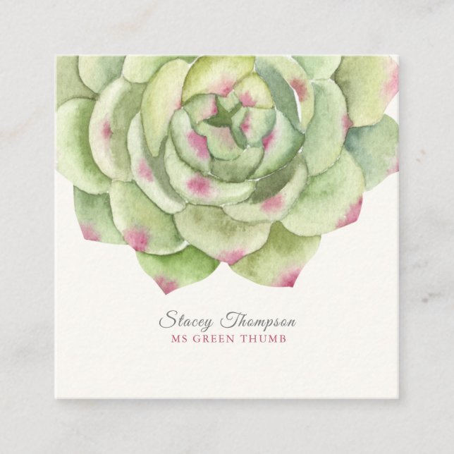 Carte De Visite Carré Aquarelle Succulente Rose de PixDezines (Devant)
