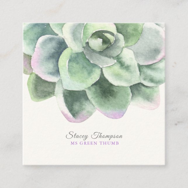 Carte De Visite Carré Aquarelle Succulente Rose de PixDezines (Devant)