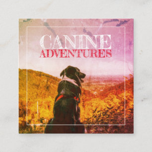 Carte De Visite Carré Aventures De Chien Et De Chien Feu Texté