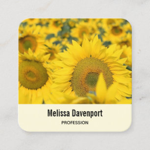 Carte De Visite Carré Champ jaune de tournesols photo