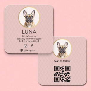 Carte De Visite Carré Chien Animal Social Media QR Code Blush Pink Photo