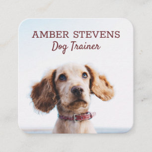 Carte De Visite Carré Chien assis   Entraîneur de chiens