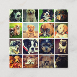 Carte De Visite Carré Chien Face Collage Chien Walker Trainer Et Sitter