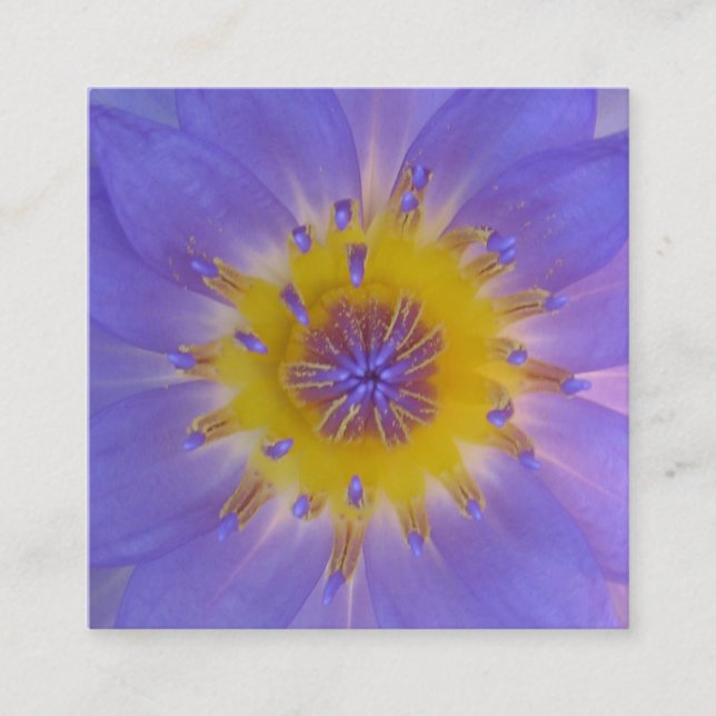 Carte De Visite Carré Coeur d'une macro photographie nénuphar (Devant)