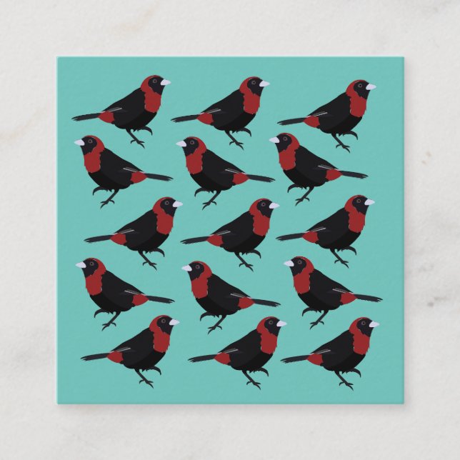 Carte De Visite Carré Colibri noir rouge cramoisi (Devant)