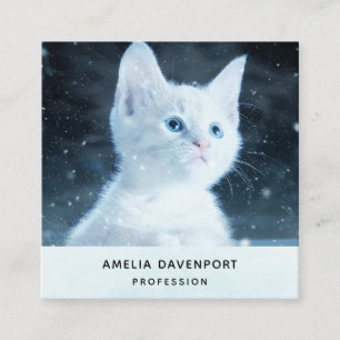Carte De Visite Carré Cuite Kitten blanc avec de beaux yeux bleus
