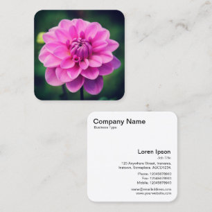 Carte De Visite Carré Dahlia rose