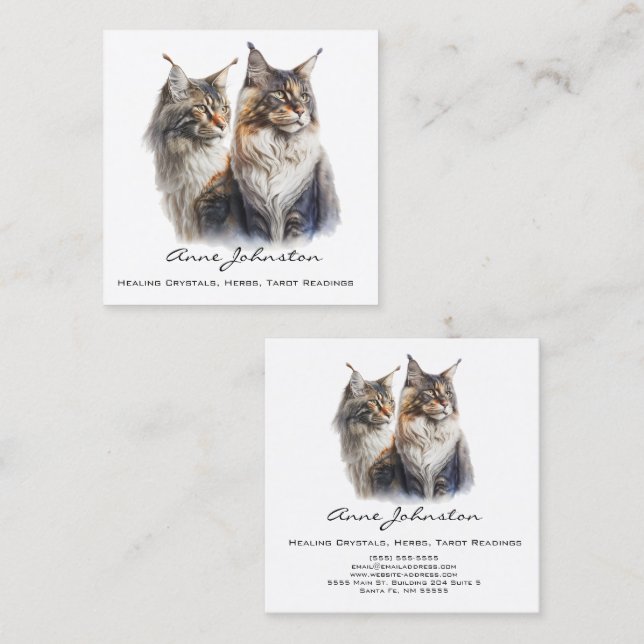 Carte de visite Carré de Maine Coon Cats (Devant / Derrière)