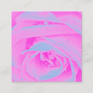 Carte De Visite Carré Détail de rose rose chaud et bleu clair parfait