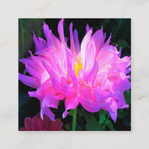 Carte De Visite Carré Étonnant Cactus rose et violet Dahlia