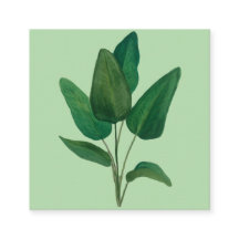 Feuilles tropicaux