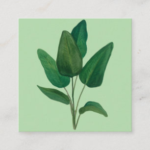 Carte De Visite Carré Feuilles tropicaux