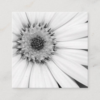 Carte De Visite Carré Fleur monochrome de marguerite africaine