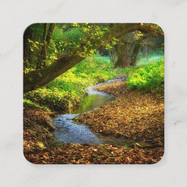 Carte De Visite Carré Forest Creek Belle nature Paysage Photo (Devant)