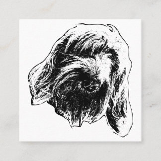 Carte De Visite Carré Friendly Spinone Touch
