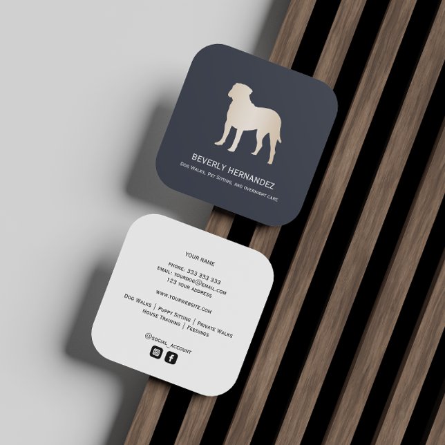 Carte De Visite Carré Gold Bullmastiff Dog Walker Trainer Chiot assis (Créateur téléchargé)