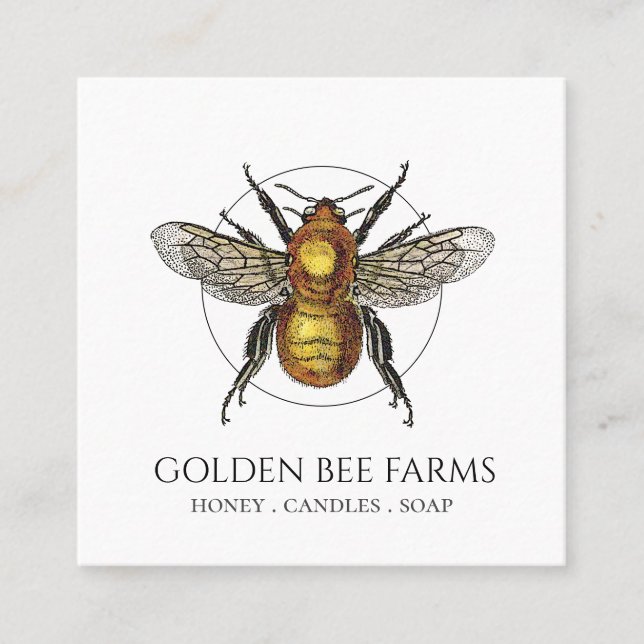Carte De Visite Carré Golden Bee Farms Honey Apiary Beekeeper (Devant)