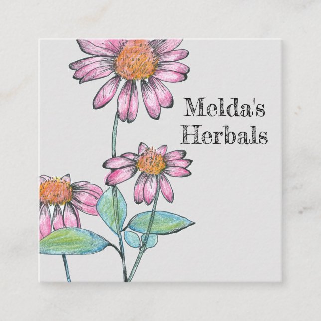 Carte De Visite Carré Herbes Coneflower Echinacea Herbe Médicale (Devant)