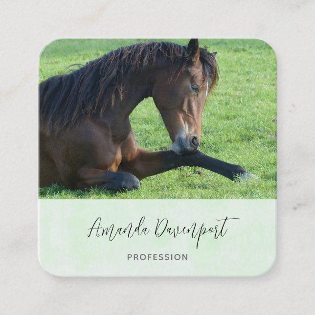 Carte De Visite Carré Joli Cheval Brown allongé dans l'herbe (Devant)