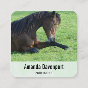 Carte De Visite Carré Joli Cheval Brown allongé dans l'herbe