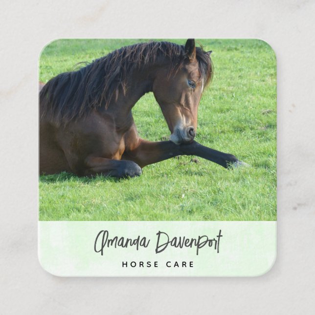 Carte De Visite Carré Joli Cheval Brown allongé dans l'Herbe Business Ca (Devant)