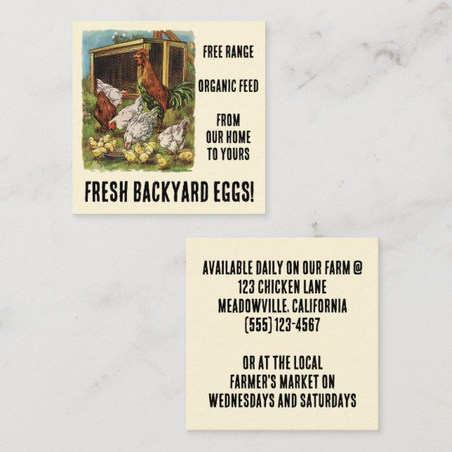 Carte De Visite Carré Oeufs frais de nos poulets Jardins à vendre! (Devant / Derrière)