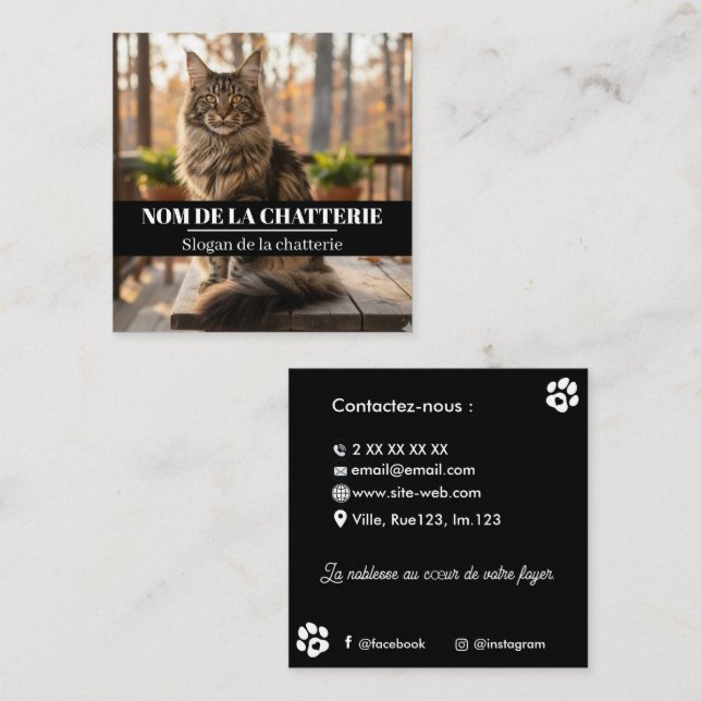Carte De Visite Carré Personnalisée de Chatterie Maine Coon  (Devant / Derrière)
